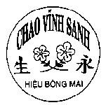 Chao Vĩnh Sanh Hiệu Bông Mai, hình  CHAO VINH SANH HIEU BONG MAI