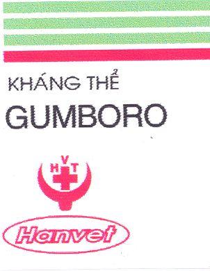 HVT KHáNG THể GUMBORO Hanvet  HVT KHANG THE GUMBORO HANVET HTV THV TVH VHT VTH H V T