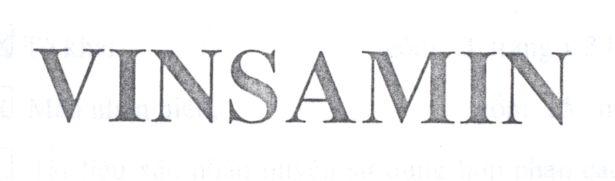 VINSAMIN