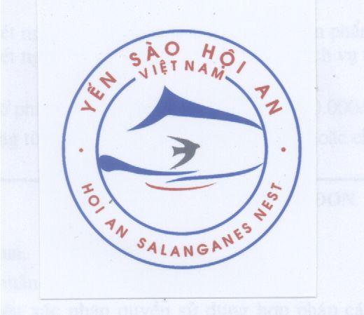 Yến Sào Hội An Việt Nam HOI AN SALANGANES NEST