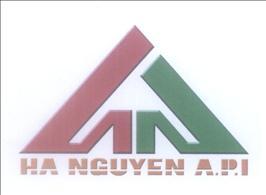 H N HA NGUYEN A.P.I