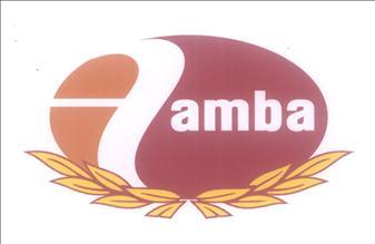 Tamba T S