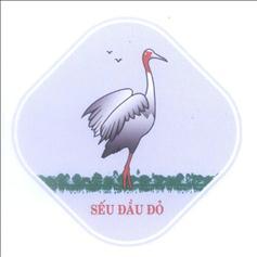 Sếu Đầu Đỏ