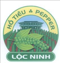 Lộc Ninh Hồ Tiêu PEPPER