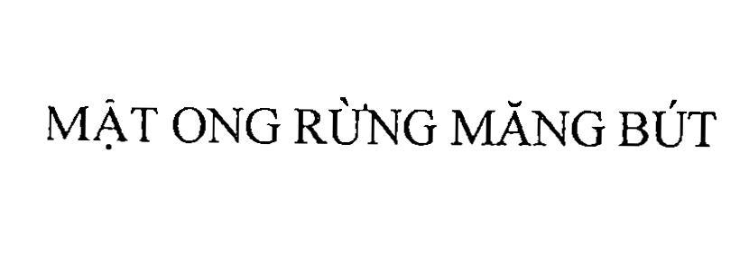 Mật Ong Rừng Măng Bút