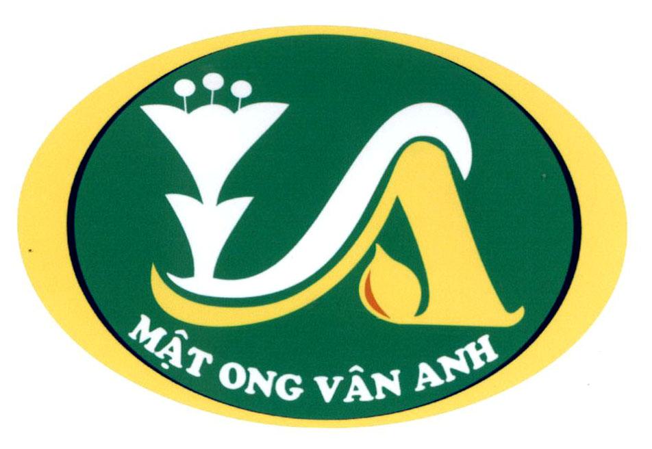 VA Mật ong Vân Anh