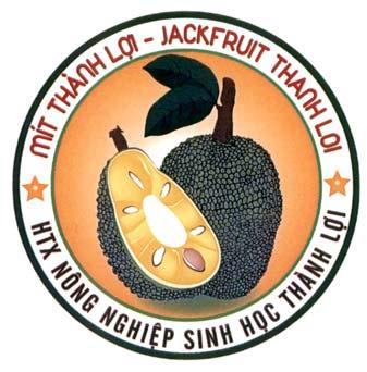 Mít Thành Lợi JACKFRUIT THANH LOI HTX Nông nghiệp sinh học Thành Lợi