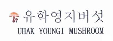 UHAK YOUNGI MUSHROOM [UHAK; YOUNGI; MUSHROOM: nấm]