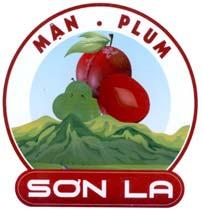 Mận Plum Sơn La