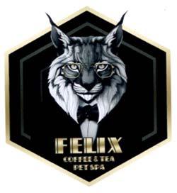FELIX COFFEE & TEA PET SPA