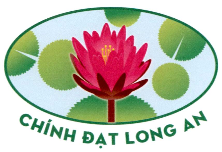 Chính Đạt Long An