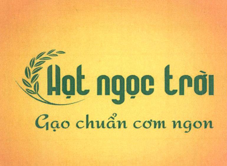 Hạt ngọc trời Gạo chuẩn cơm ngon