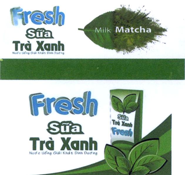 Fresh Sữa Trà Xanh Nước Uống Giải Khát Dinh Dưỡng Milk Matcha Nước Uống Giải Khát Dinh Dưỡng Fresh Sữa Trà Xanh Sữa Trà Xanh Fresh