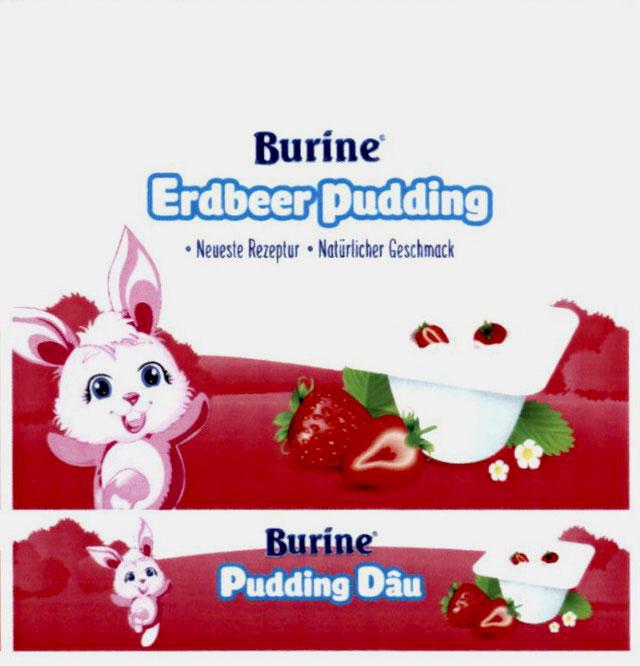 Burine Erdbeer Pudding Neueste Rezeptur Naturlicher Geschmack Burine Pudding Dâu