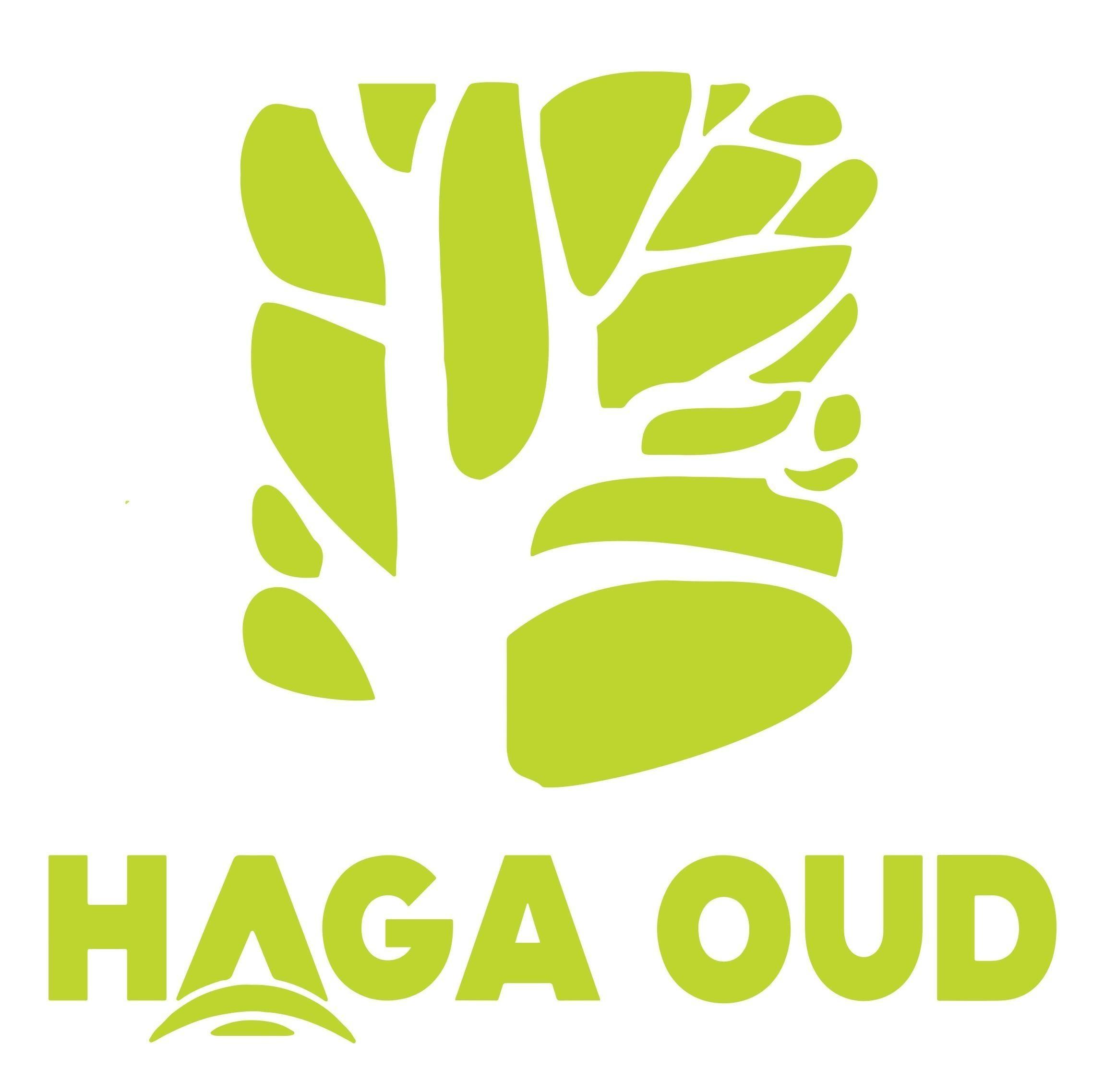 HAGA OUD