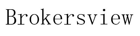 Brokersview