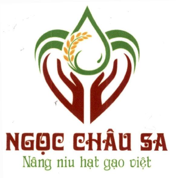 NGỌC CHÂU SA Nâng niu hạt gạo Việt