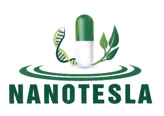 NANOTESLA