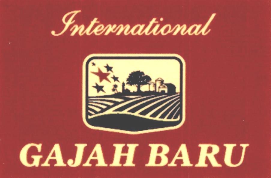 International GAJAH BARU