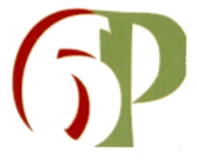 6P