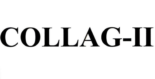 COLLAG-II