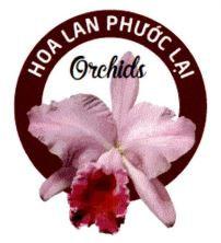 HOA LAN PHƯỚC LẠI Orchids
