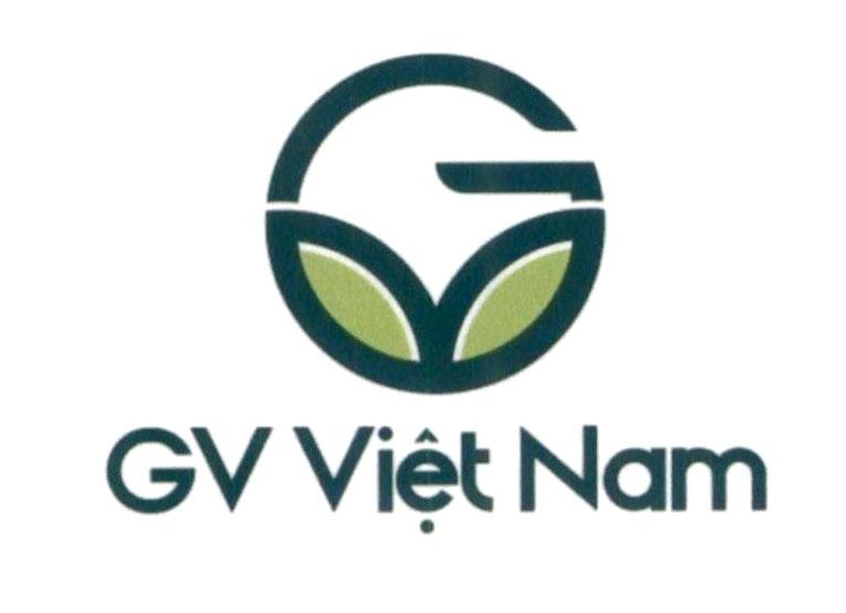 G V GV Việt Nam