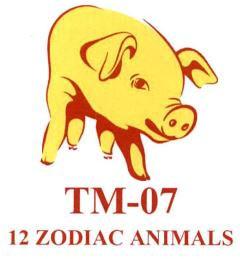 TM-07 12 ZODIAC ANIMALS