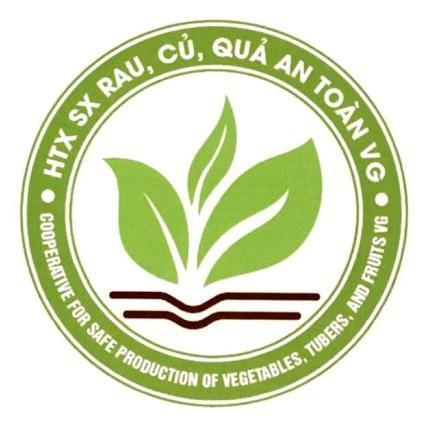 HTX SX RAU, CỦ, QUẢ AN TOÀN VG COOPERATIVE FOR SAFE PRODUCTION OF VEGETABLES, TUBERS, AND FRUITS VG