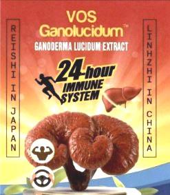 VOS Ganolucidum GANODERMA LUCIDUM EXTRACT 24-hour IMMUNE SYSTEM REISHI IN JAPAN LINHZHI IN CHINA
