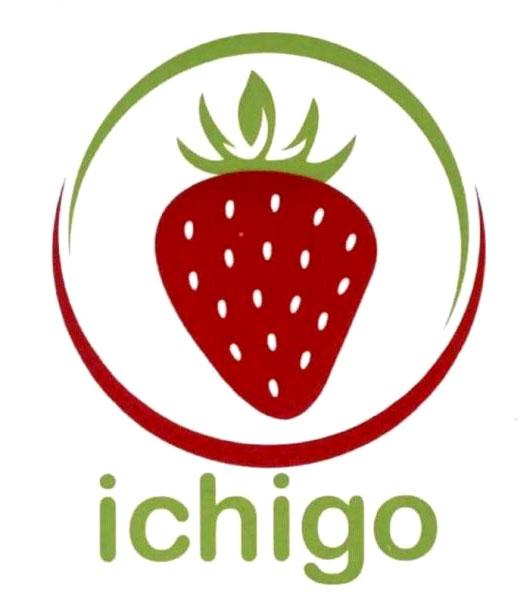 ichigo