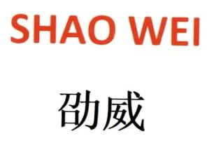 SHAO WEI [shao wei]