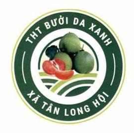 THT BƯỞI DA XANH XÃ TÂN LONG HỘI