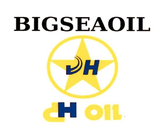 BIGSEAOIL DH dH OIL